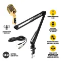 Микрофон винтажный золотой, кабель 2,5 м XLR (female) – mini-jack 3.5 mm (male), на пантографе ST с усиленной струбциной