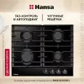 Газовая варочная панель Hansa BHGS630301