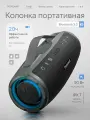 Портативная колонка Tronsmart Mirtune S100 Black (50Вт, Bluetooth 5.3, влагозащита IPX7)