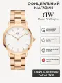 Наручные часы Daniel Wellington Iconic Link, золотой