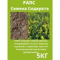 Рапс семена сидераты трава газонные 5 кг
