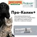 Пробиотик Protexin Veterinary Проколин + для собак и кошек при расстройствах ЖКТ 30 мл