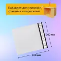 Курьерский почтовый пакет 300х320 мм (50 мкм), 500 штук