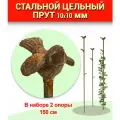 Две опоры колышек для растений, опоры для плетистой розы и кустарников Колибри , от Рео-Стил, стальной прут 10х10 мм, высота 156 см