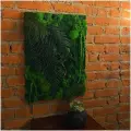 Панно Jungle Dark Дом Мха - MossArt из стабилизированного мха и растений в подарочной упаковке, 50*70 см.