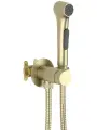 Гигиенический душ со смесителем Aquatek Европа AQ1020BG, с кнопкой, встраиваемый, настенный, шлифованное золото