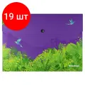 Комплект 19 шт, Папка-конверт на кнопке Berlingo Flower Art, А4, 330мкм, с рисунком