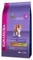 Сухой корм для щенков Eukanuba Puppy Medium Breed для средних пород , 3 кг
