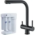 Смеситель для кухни Swedbe в комплекте с фильтром Аквафор Морион MK8165BM
