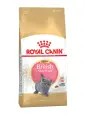 Royal Canin Kitten British Shorthair сухой корм для котят породы британская гладкошерстная - 400 г