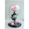 Нежно розовая роза в колбе Люкс в подарочной коробке с вау - эффектом/32 см/Живет 5 лет!