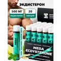 Экдистерон 500мг SPORTTECH, лайм-имбирь, 20ампул*25мл, мужская сила, энергия, выносливость, настроение, бустер тестерона