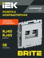 BRITE Розетка компьютерная двойная RJ45 кат.5E РК10-2-БрА алюминий IEK