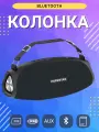 Портативная беспроводная Bluetooth колонка HOPESTAR H43 / 10 Вт / блютуз колонка / черная