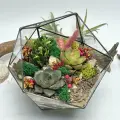 Флорариум с суккулентами Яркий Икосаэдр 16см