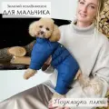Комбинезон, одежда для собак мелких и средних пород, пуховик для животных (мальчик) Норд