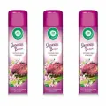Airwick Освежитель воздуха Японская весна, Цветущая сакура и бергамот, 290 мл, 3шт