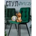 Стулья кухонные Фред, 2 шт, велюр антикоготь, зеленый