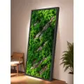 Панно из стабилизированного мха 120*60 см, большая настенная картина для интерьера, для дома и комнаты