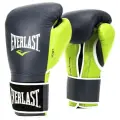 Перчатки тренировочные Everlast Powerlock сине-зеленые, вес 12 унций