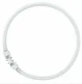 Osram Лампочка кольцевая FC 2GX13 T5 300мм 40w/830 3400lm 4Pin люминесцентная