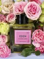 Аромадиффузор с палочками EDEN №61 _ 50 мл. STENOVA HOME
