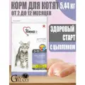1st CHOICE Корм для котят Здоровый старт с цыплёнком 5,44 кг