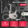 Велотренажер домашний SVENSSON BODY LABS AURORA
