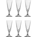 Набор из 6 рюмок для дистиллятов Bar Stolzle
