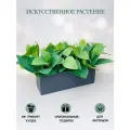 Искусственная трава в ящике для дома и офиса, ПоДар. Ок Home