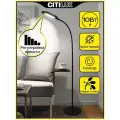 Citilux Леон CL804041 Торшер гибкий светодиодный Чёрный