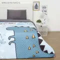 Покрывало 1.5-спальное Dinoparty, 145x210 см, микрофибра, сезон: весна