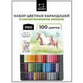 Набор профессиональных цветных карандашей Малевичъ GrafArt PRO, 100 цветов