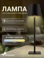 Настольная лампа беспроводная, настольный светильник с USB-портом и с регулировкой яркости Favourite 4615-1T