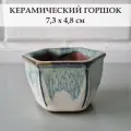 Керамический горшок для суккулентов и кактусов / Керамический горшок для цветов