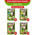 Влажный полнорационный корм KITEKAT для взрослых кошек, кусочки в соусе: говядина, курица, рыба, ягненок, 56 шт по 85 г