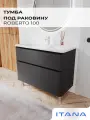 Тумба под раковину в ванную, тумба для ванной Итана Roberto 100 992х453х820 напольная Графит
