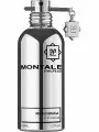 Montale Mango Manga парфюмерная вода 50мл, унисекс, год 2010, фруктовые, восточные