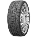 Летние шины 20/275/45 Nexen Roadian HP 110V XL