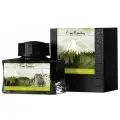 Флакон чернил Pierre Cardin 50мл, серия CITY FANTASY цвет Hayao Green (Зеленый Хаяо)