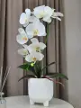 Искусственные цветы, 1 шт. Орхидея в капшо