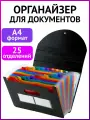 Папка-органайзер для рисунков, чертежей, листов, бумаг, документов на резинке, 25 отделений, Brauberg Docs, А4, черная, 271151