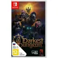 Игра Darkest Dungeon II для Nintendo Switch