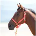 Недоуздок для лошади Shires Topaz, оранжевый, COB (Великобритания)
