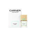 Парфюмерная вода Carner Barcelona Salado 50 мл