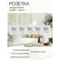 Розетка с тонкой рамкой, 5 постов (электрическая с USB и Type C)