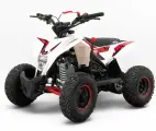 MOTAX Квадроцикл электрический Gekkon 1300W, белый/красный