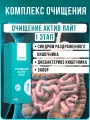 Очищение Актив Лайт 1 этап, 14 стиков по 5 г (Биолит, арго) для пищеварения с псиллиумом, детокс.