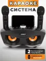 Сова - караоке система, SOVA SD 306 PLUS с двумя перезаряжаемыми радиомикрофонами, изменение голоса , блютуз