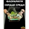 Флорариум Сердце Кристалл среднее (с живыми суккулентами)